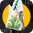 6th-cat.png